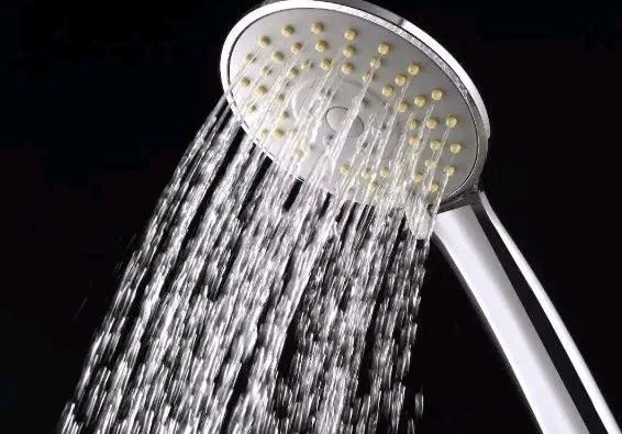 large picture of the cover